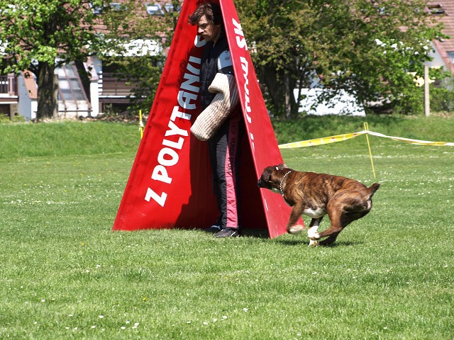 www.atibox.net * www.euroboxer.eu * www.boxergenealogia.eu